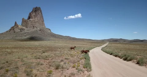 Two wild horses running in front of dramatic desert mountain Stock Footage 117802304