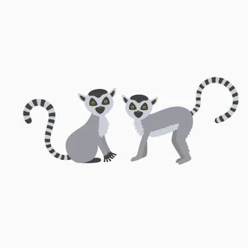 Two wild lemur Stock Illustration