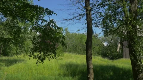 Two Windmills in a Field Stock Footage 63729469