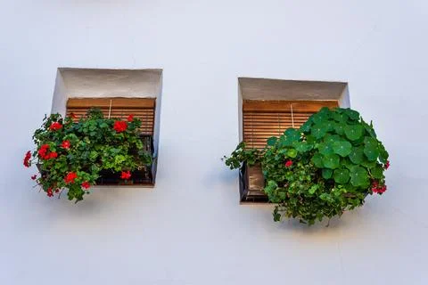 Two window boxes are attached to a white wall Stock Photos