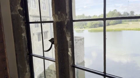 Two window latches facing lake panning 스톡 동영상 346297641
