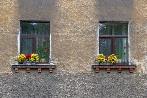 Two windows with flower pots in old house Stock Photos