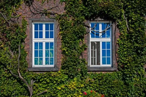 Two windows Stock Photos