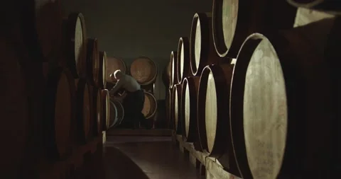 Two Winemakers In Vintage , Traditional Wine Factory Rolls Barrel . Stock Footage