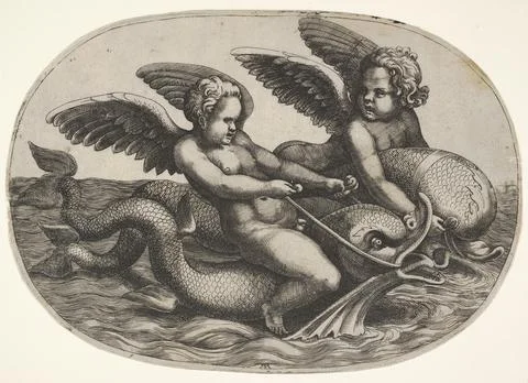 Two winged putti riding parallel on dolphins above the water surface, an ov.. Stock Illustration