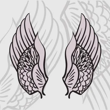 Two wings Illustrazione stock