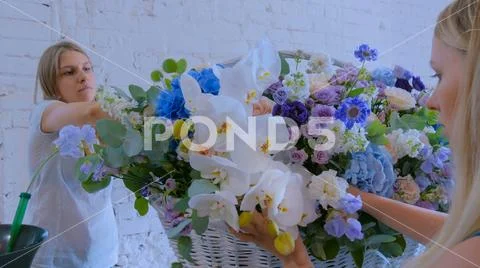 Two women florists making large floral basket with flowers at flower shop Stock Photos