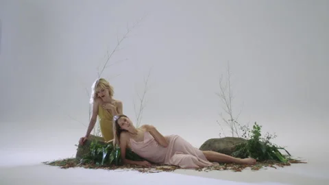 Two women models posing in nature-inspired scene with soft colors Stock Footage 319924908