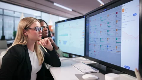Two Women Professionals Using ERP Software Stock Footage 343885556