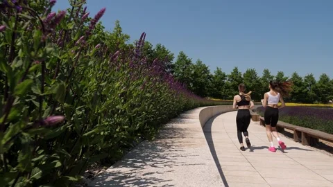 Two women run through a modern park in summer along an alley with flowering sage Stock Footage 308452222