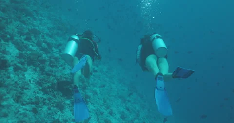 Two Women Scuba Diving Stock Footage 280098480