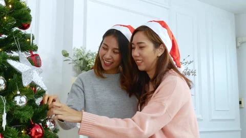 Two Women siblings using hands decorate Christmas tree red ball Stock Footage 252629487