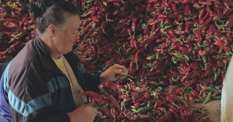Two Women strings peppers to prepare them for drying Stock Footage 140685049