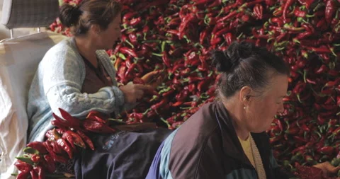 Two Women strings peppers to prepare them for drying Stock Footage 140687766
