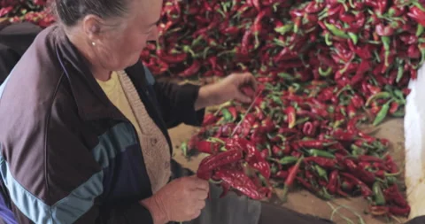 Two Women strings peppers to prepare them for drying Stock Footage 140778741