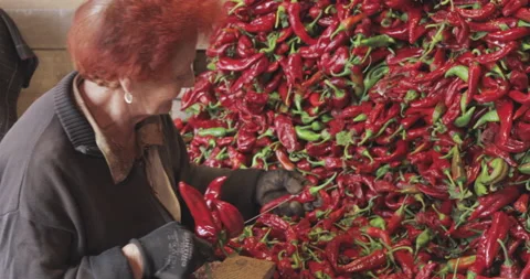 Two Women strings peppers to prepare them for drying Stock Footage 140840427
