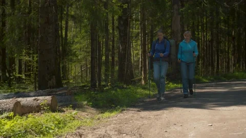 Two women on the stroll in the forest Stock Footage 131386744