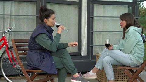 Two women talking and drinking red wine Stock Footage 241180064