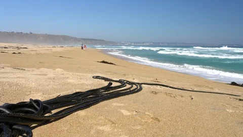 Two women walking along the beach seaside on a wild environment Vídeo Stock 106904146