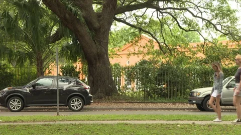 Two women walking down a path in park Stock Footage 84634533