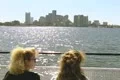 Two women watching city from tour boat Footage