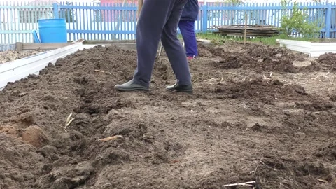 Two women work in the garden digging the ground with shovels Stock Footage 155070404