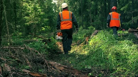 Two woodcutter is walking to the work Vidéo 78724453