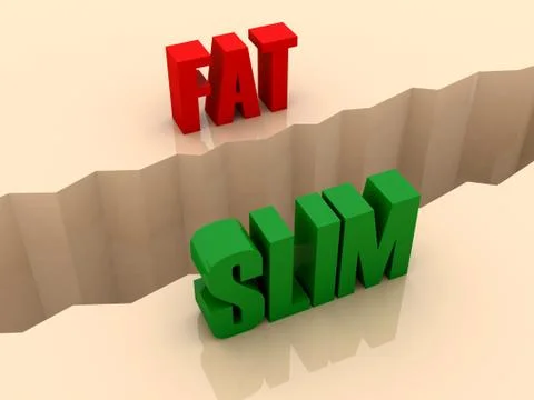 Two words FAT and SLIM split on sides, separation crack. Concept 3D illustrat Illustrazione stock