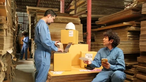 Two workers and colleagues check shipment orders stock at parcels warehouse. Stock Footage 169981819