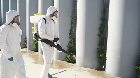 Two workers of disinfection service work as one team Stock Footage 137759218