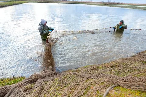 Two workers fishers in water resistant suit at commercial fishing, harvesting Stock Photos