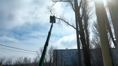 Two workers on a forklift crane are pruning the high branches of a tree in the c Stock Footage 306371530
