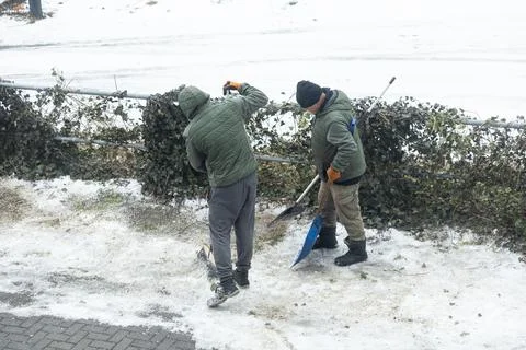 Two workers in green jackets clear snow from a path with shovels near a fence, Stock Photos