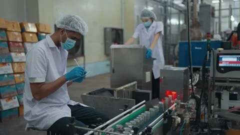 Two workers inspecting of an automated conveyor machine in food production line. Stock Footage 329538678
