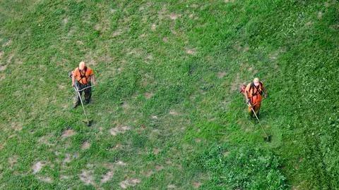Two workers with a lawn mower mows the grass, top view. Mans in an orange wor Stock Photos