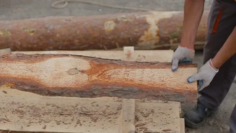 Two workers loads boards onto trimming machine from pile. Versatile industrial Stock Footage 75407260