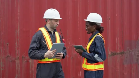 Two Workers in Safety Vast Consulting at Shipping Container Yard During Ins.. Stock Footage 336399380