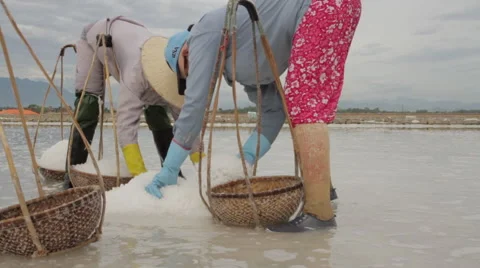 Two Workers Scoops Salt into Baskets Stock Footage 42451012