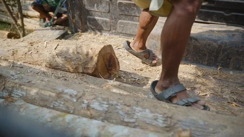Two workers smuggling illegal wood Stock Footage 97093476