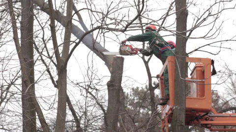 Two workers standing on the crane and cutting the broken branch with a chainsaw. Stock Footage 46684333