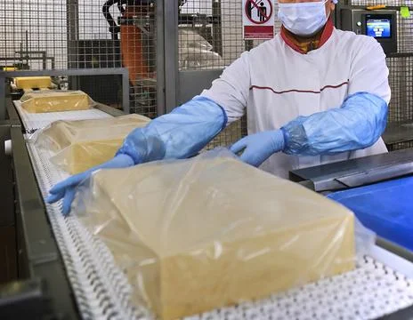 Two workers start making blocks of cheese in a factory. Stock Photos