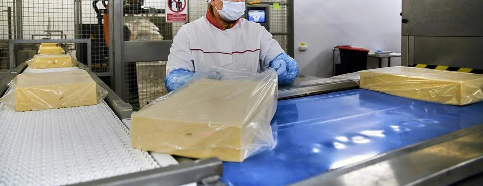 Two workers start making blocks of cheese in a factory. Stock Photos