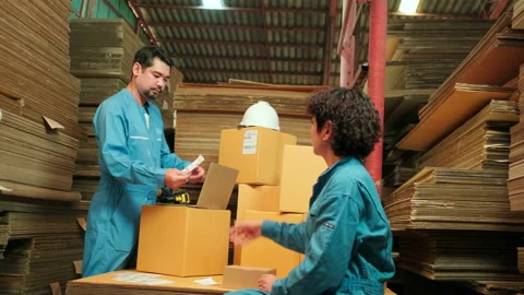 Two workers use a bar code scanner to check orders stock at parcels warehouse. Stock Footage 170041940