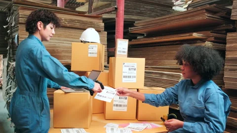 Two workers use a bar code scanner to check orders stock at parcels warehouse. Video stock 170917015