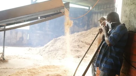 Two workers waiting next to a cane juice extraction machine, industry Stock Footage 105556314