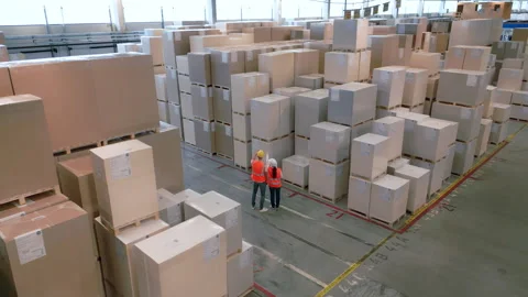 Two workers in a warehouse with large cardboard boxes. Vidéo 308002609