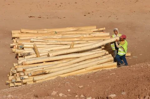 Two workers wearing reflective safety vests are carrying a long wooden pole. Stock Photos