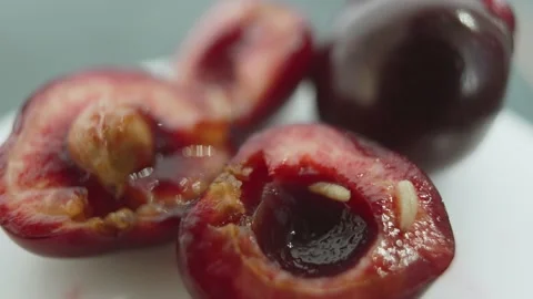 Two worms crawl on shiny juicy surface of red ripe sweet cherry, macro. Stock Footage 209635141