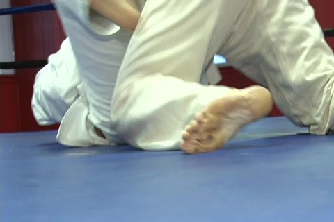 Two Wrestlers At The Ring 動画素材 780215