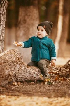 A two-year-old boy in a hat and jacket sits on a log in a Pine forest against Stock Photos